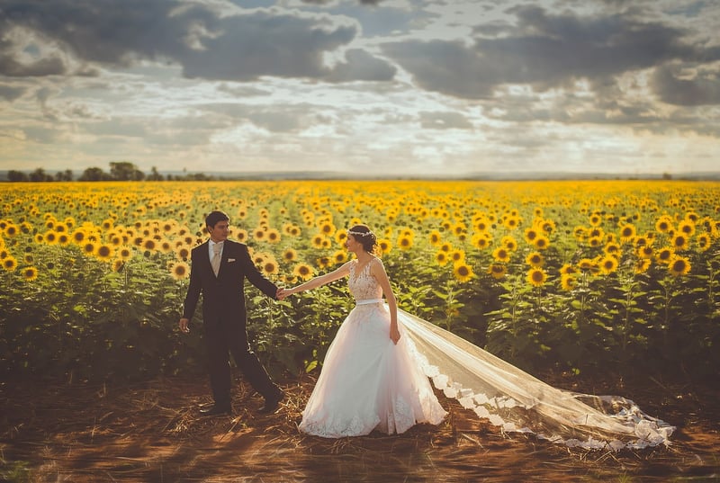 Wedding Cinematic Highlight